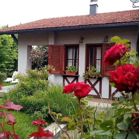 Nikolija 1 Bajina Basta