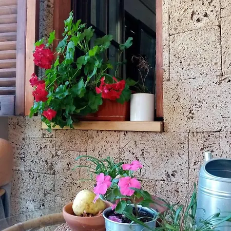 Nikolija 1 *