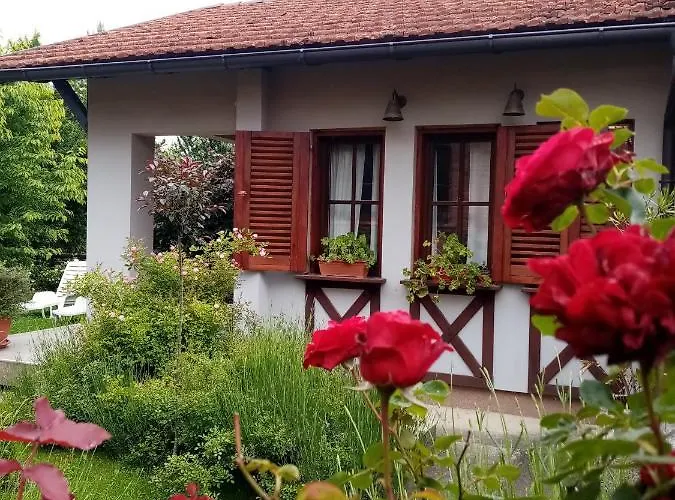 Nikolija 1 Bajina Bašta